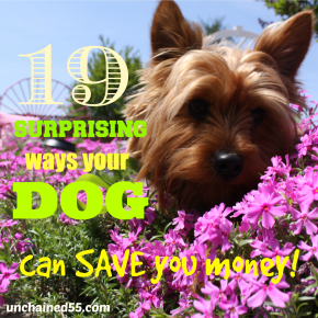 19 Surprising ways your dog can SAVE you money!